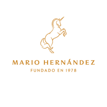MARIO HERNANDEZ